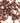 Cengkeh | Clove